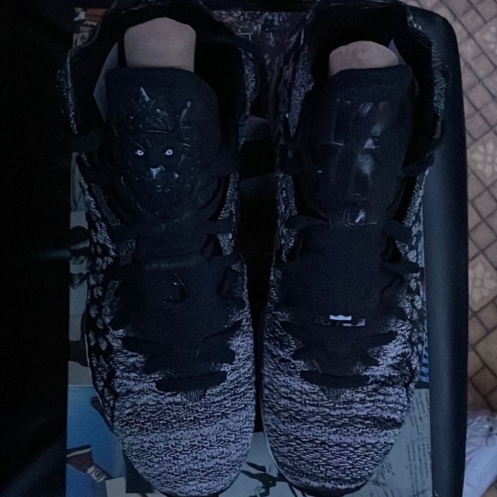Nike LeBron 17